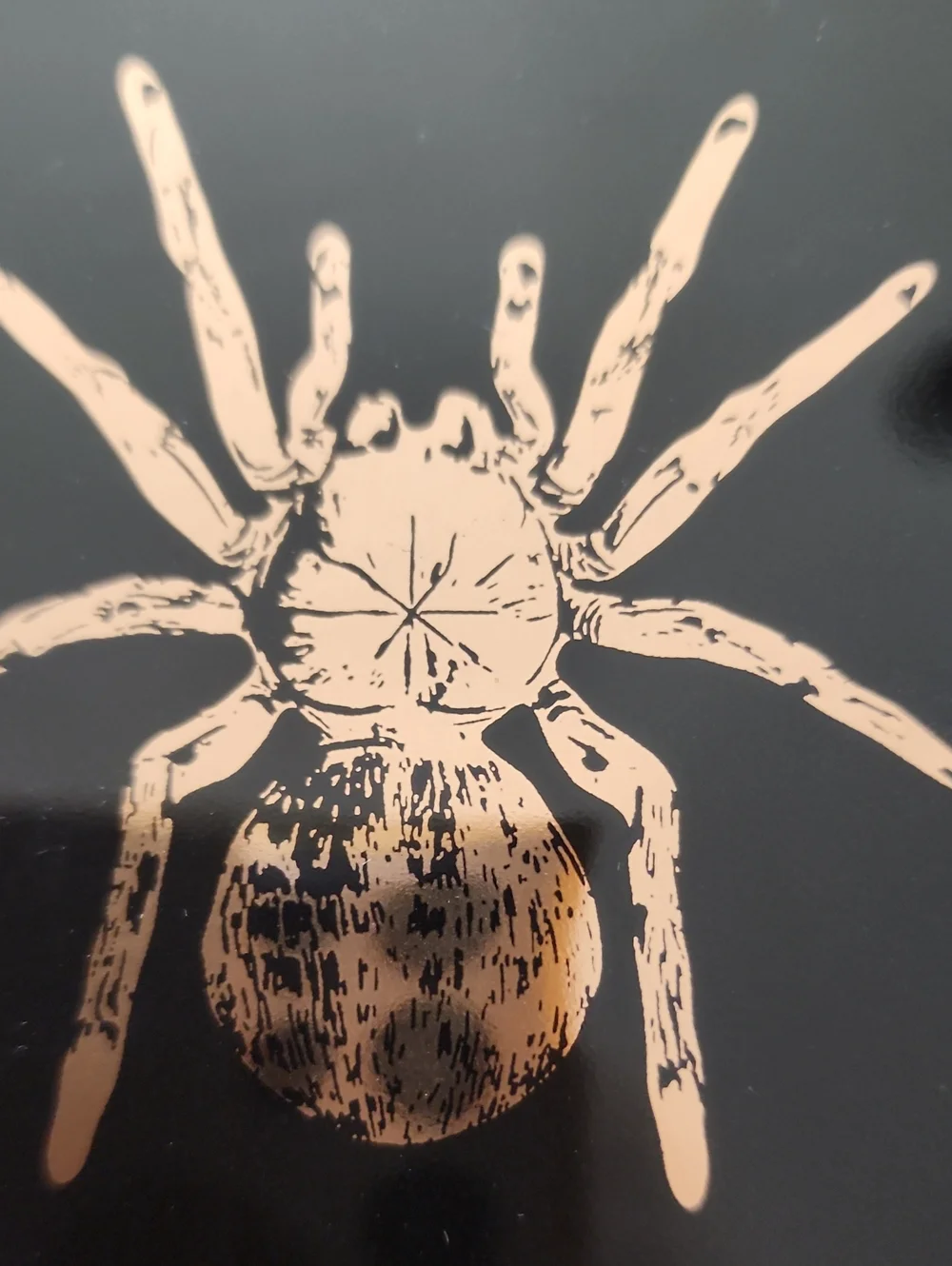 Set Of 4 Catherine Martin For Anthropologie Spider Plates